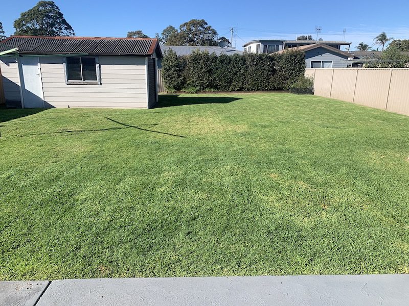Gorokan Lawn Mowing