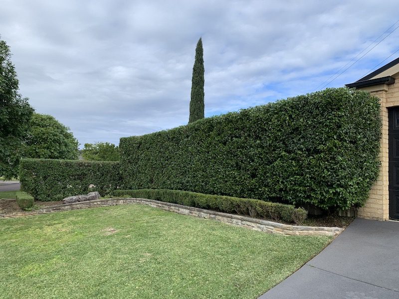 Hedging and Gardening Woongarrah